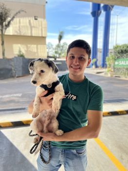 PetDay